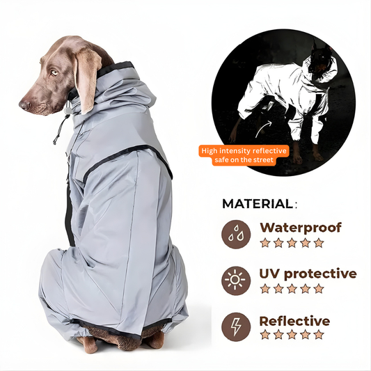 RadiantTrailβ’ All-Season Reflective Waterproof Dog Coat .