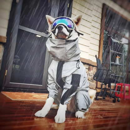 RadiantTrail™ All-Season Reflective Waterproof Dog Coat .