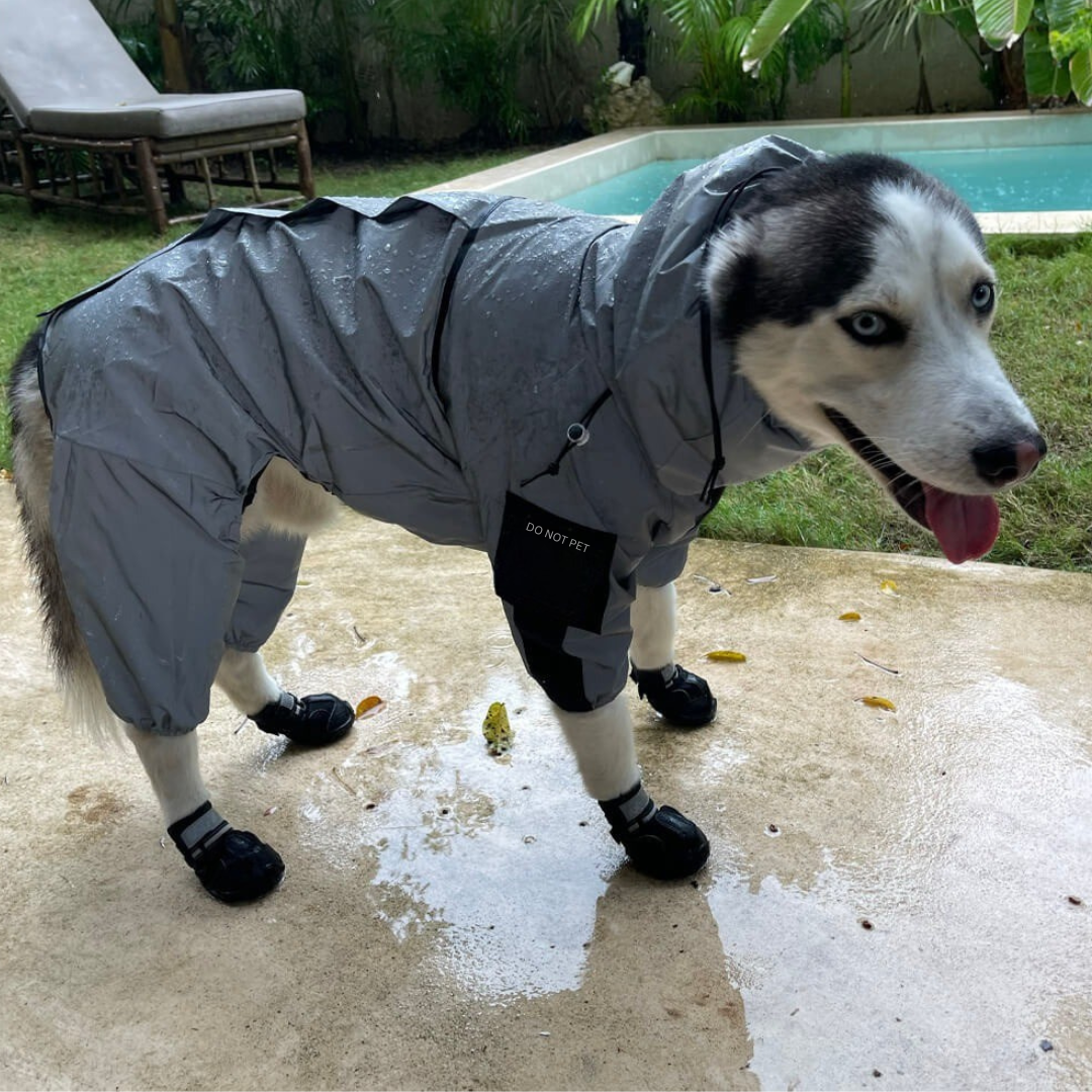 RadiantTrail™ All-Season Reflective Waterproof Dog Coat .