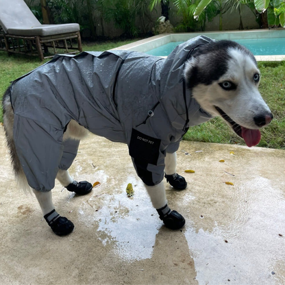 RadiantTrail™ All-Season Reflective Waterproof Dog Coat .