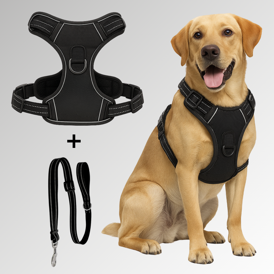 Pup Safety Harness Bundle