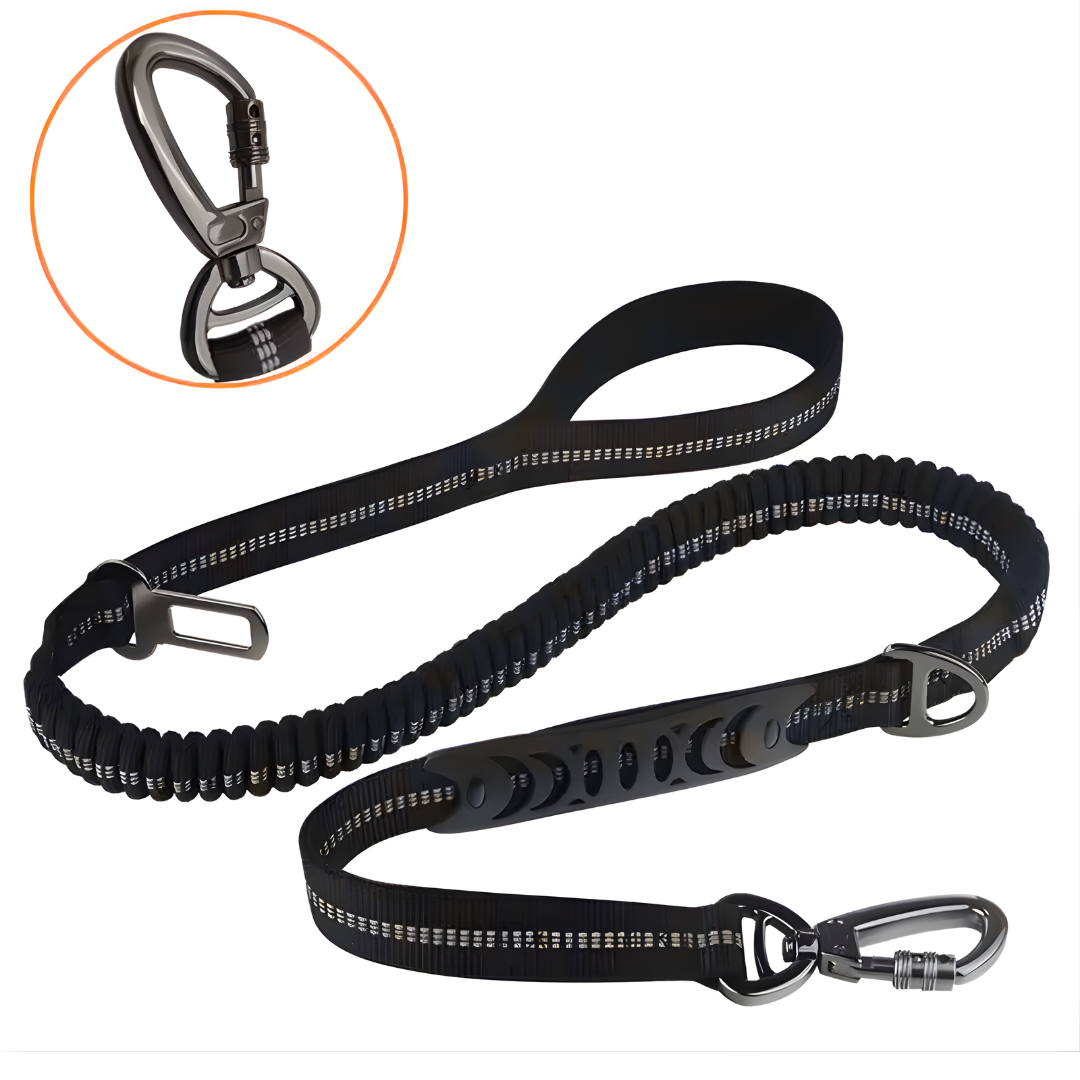 Extended Heavy Duty Bungee Leash Safety Belt Buckle
