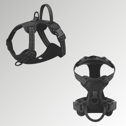 Pup Safety Harness Bundle