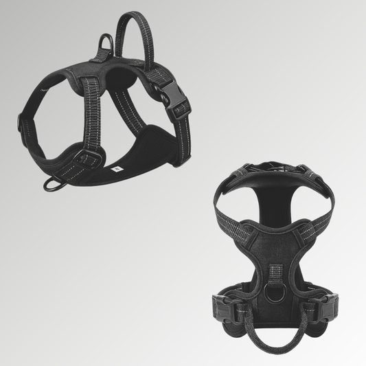 Pup Safety Harness Bundle