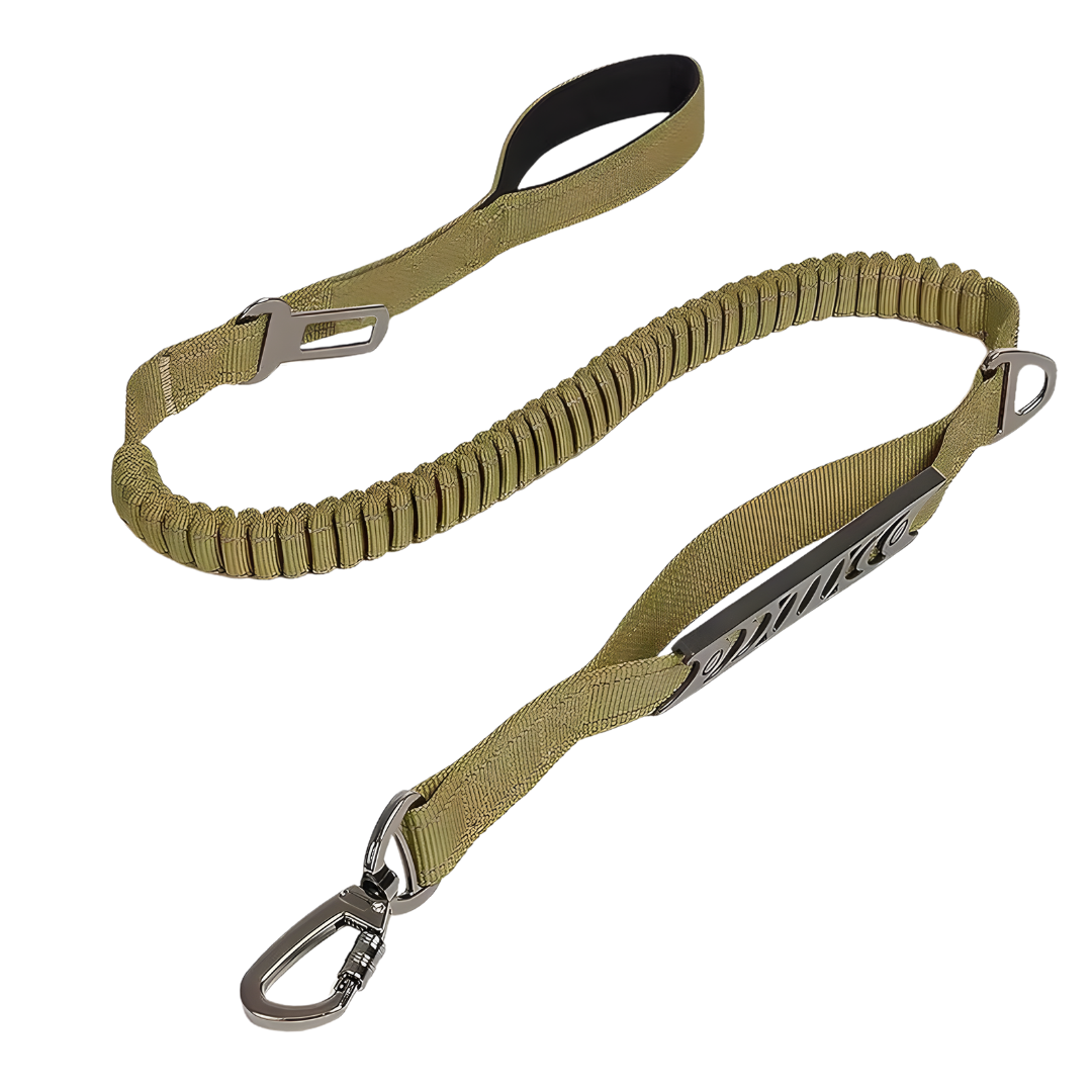 Extended Heavy Duty Bungee Leash Safety Belt Buckle