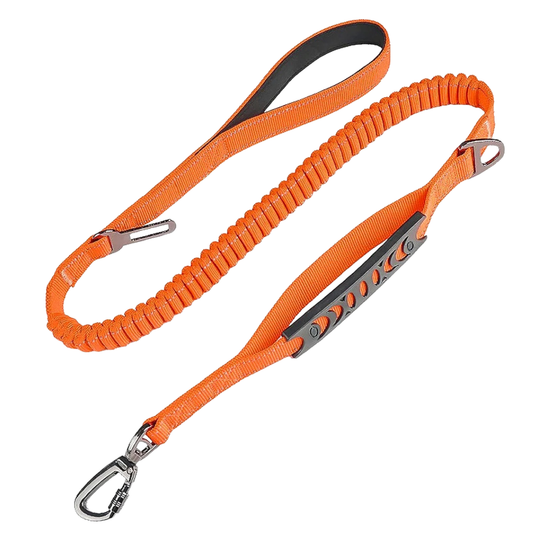 Extended Heavy Duty Bungee Leash Safety Belt Buckle