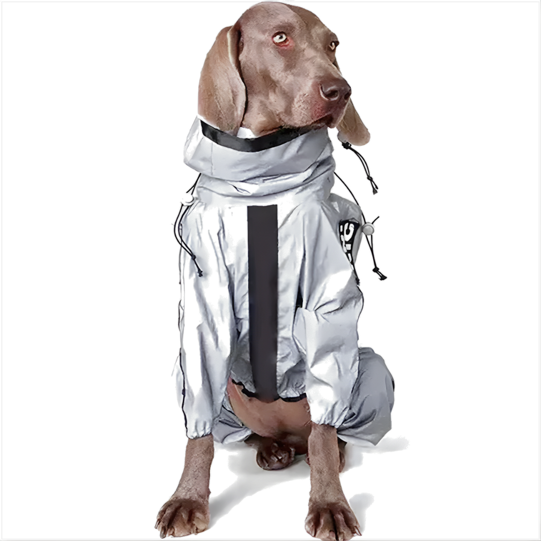 RadiantTrail™ All-Season Reflective Waterproof Dog Coat .