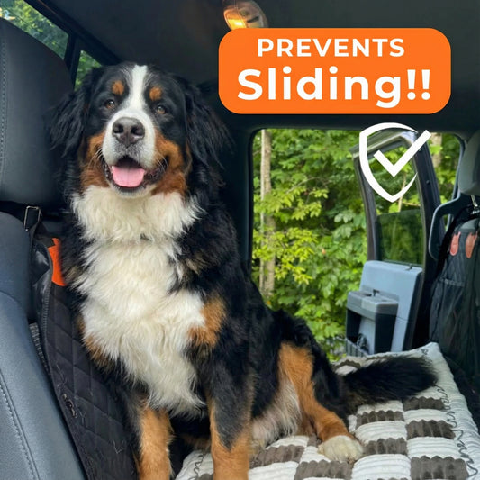 Grand Dog Bed - For The PawRadiant Pro™