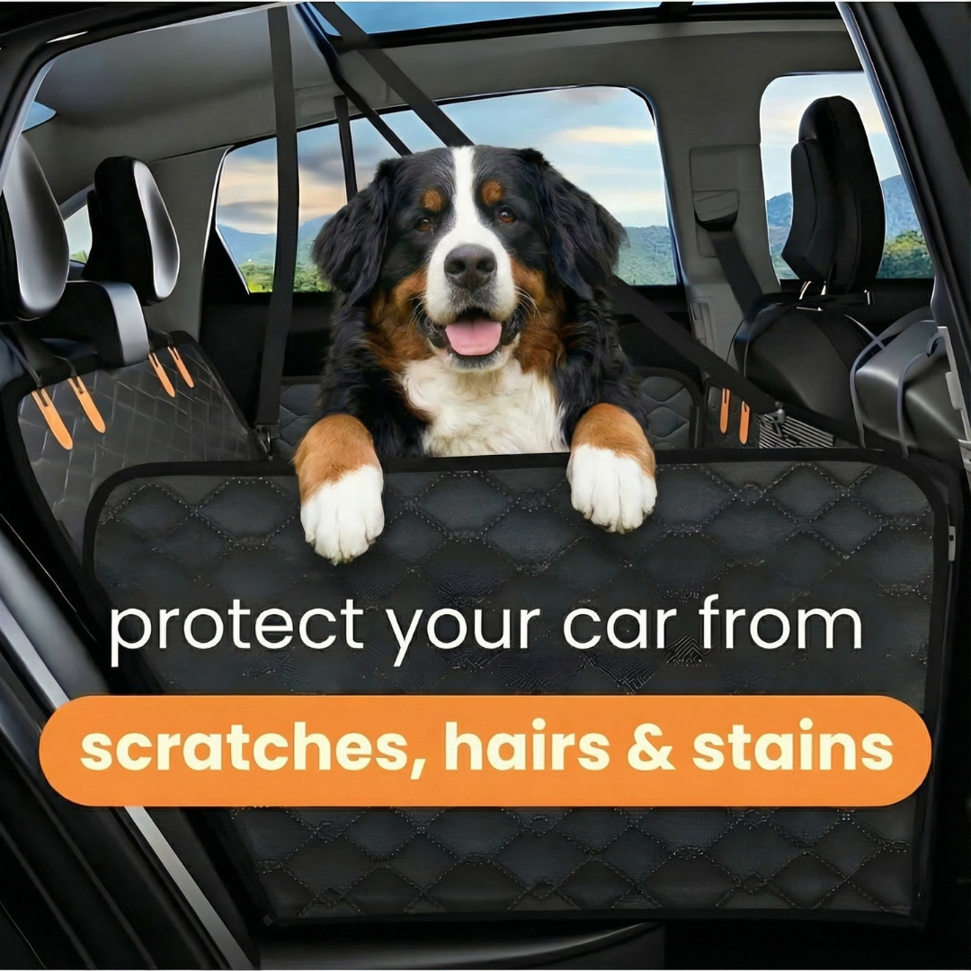 PawRadiant Pro™ - Hard Bottom Dog Car Seat Protector + (Free Grand Dog Bed )