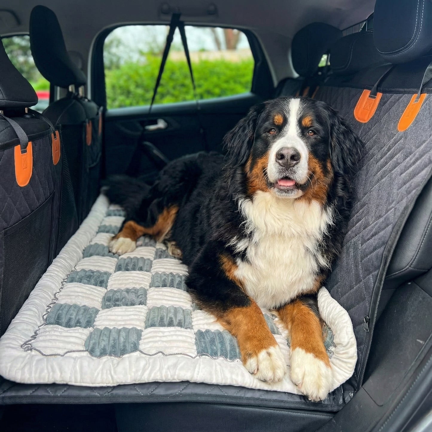 PawRadiant Pro™ - Hard Bottom Dog Car Seat Protector + (Free Grand Dog Bed )